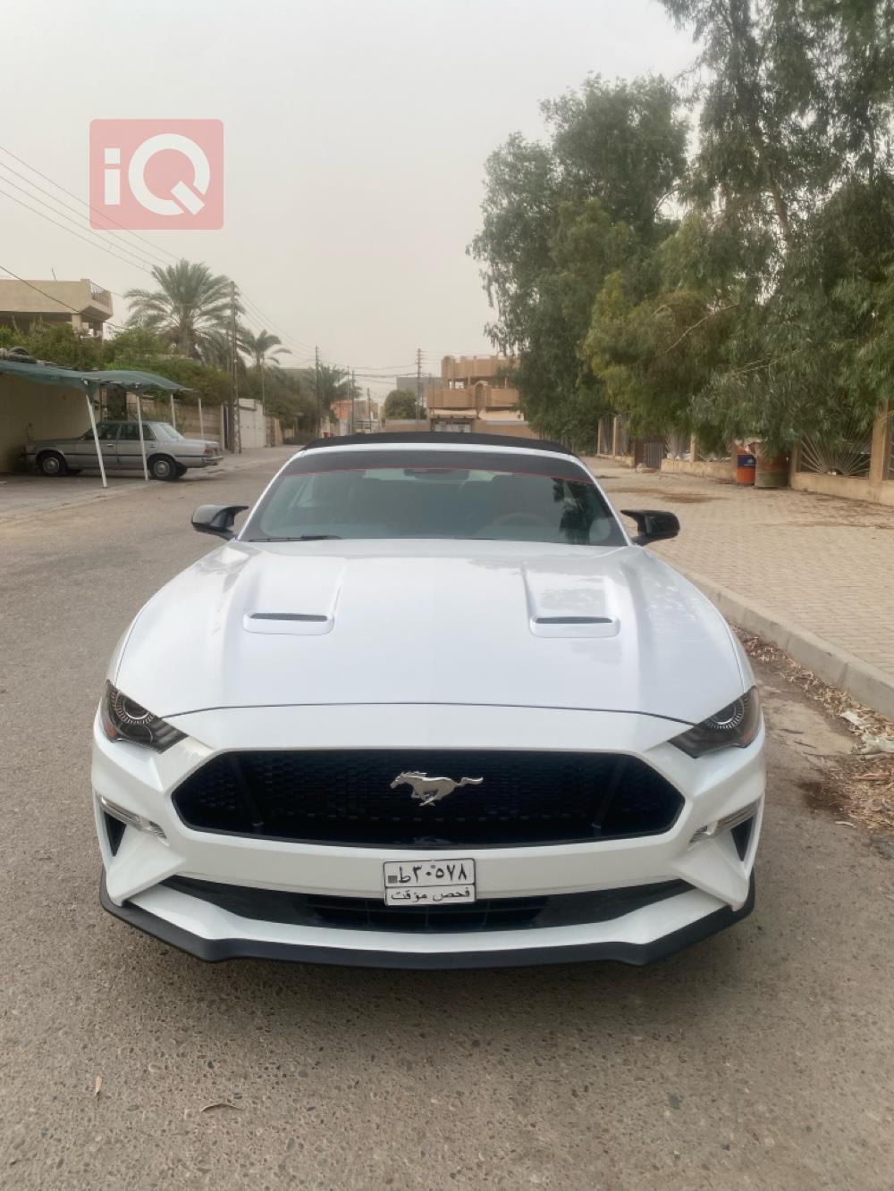 فۆرد مۆستانگ